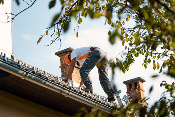 Gutter Installation and Roofing in Pendergrass, GA